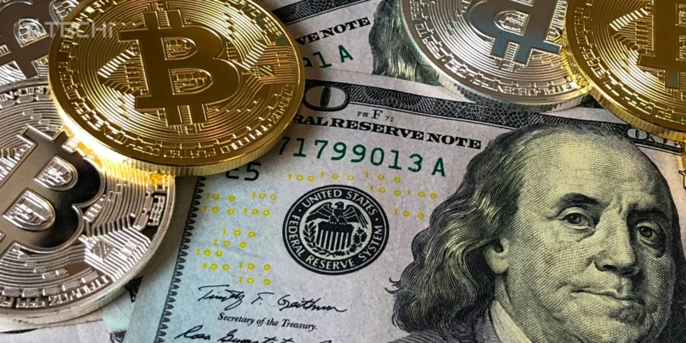 Key Market Growth Drivers and Trends Why 2025 has been a vintage year for crypto adoption 984x492.webp.webp